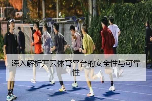 深入解析开云体育平台的安全性与可靠性